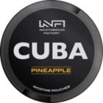 Snus νικοτίνης σε ποικιλία γεύσεων – Vape and More