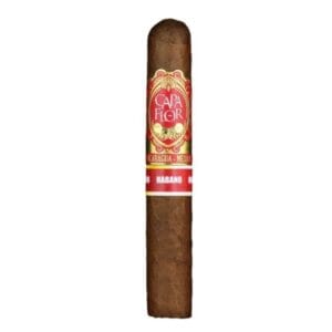 Santa Clara Capa Flor Robusto Connecticut