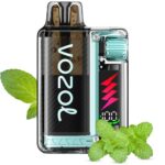 Vozol Vista Plug 20mg 2ml Kit + 10ml e-liquid Miami Mint