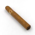 Plasencia Epico Robusto